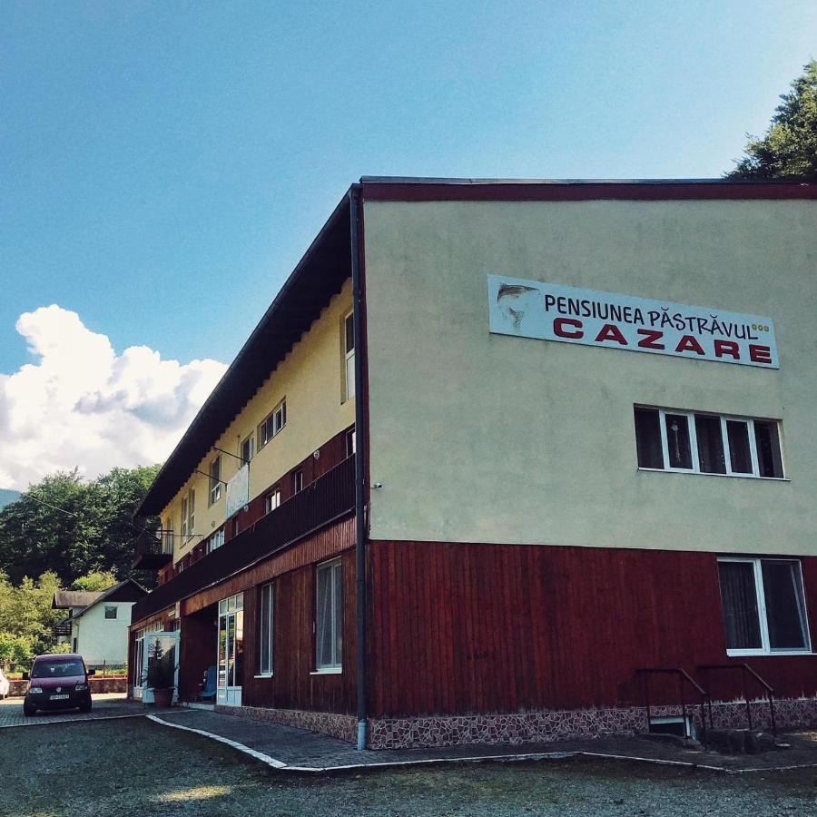 Pensiunea Pastravul 호텔 Cîrţişoara 외부 사진